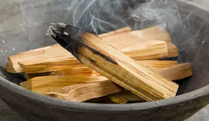 Incensi Esotici Palo Santo